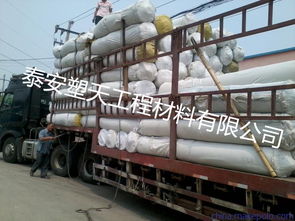 湖州土工布 国际知名品牌的卓越工程解决方案